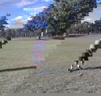 Inverell Golf Club - Newcastle Accommodation