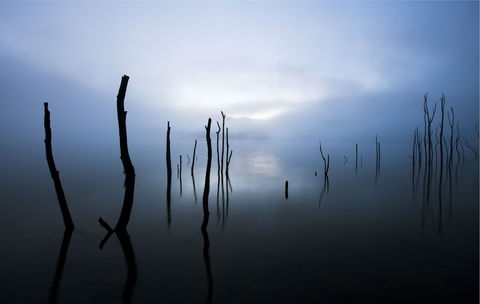 Jounama Creek Walking Track - Newcastle Accommodation 0