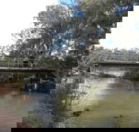 Junction Island Nature Reserve Canoe Tree and Walking Track