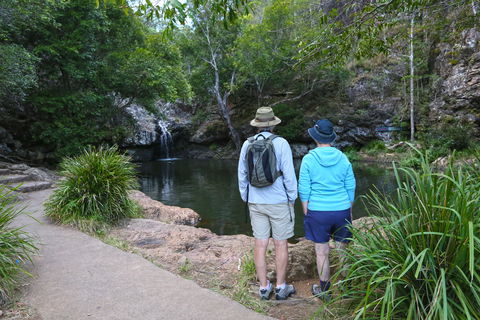 Kondalilla Falls Circuit, Kondalilla National Park - New Castle Tourism 1