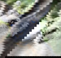 Lochern National Park - Newcastle Accommodation