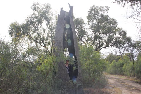 Martin Bend Wetland And Walking Trail - New Castle Tourism 1