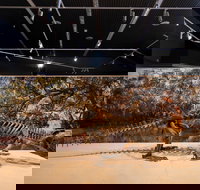 Megafauna Central - Newcastle Accommodation