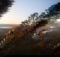 Mount Arthur Reserve - New Castle Tourism