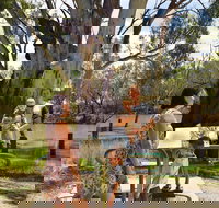 Moulamein River Walk - Newcastle Accommodation