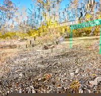 Mt Glenrowan Lookout Walk - New Castle Tourism