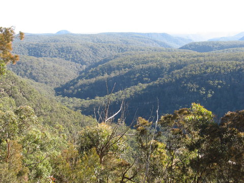 Nattai Gorge Lookout - New Castle Tourism 0