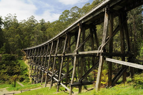 Noojee Trestle Bridge - New Castle Tourism 0