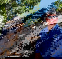 Outback Stockman's Show - Newcastle Accommodation