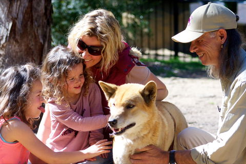 Potoroo Palace Native Animal Sanctuary - New Castle Tourism 0