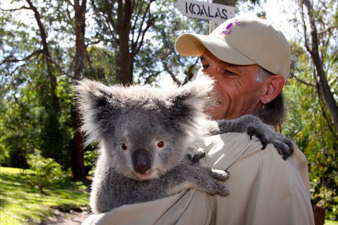 Potoroo Palace Native Animal Sanctuary - New Castle Tourism 2