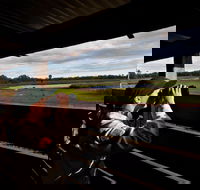 Reed Beds Bird Hide Boardwalk - New Castle Tourism