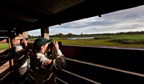 Reed Beds Bird Hide Boardwalk - New Castle Tourism 0