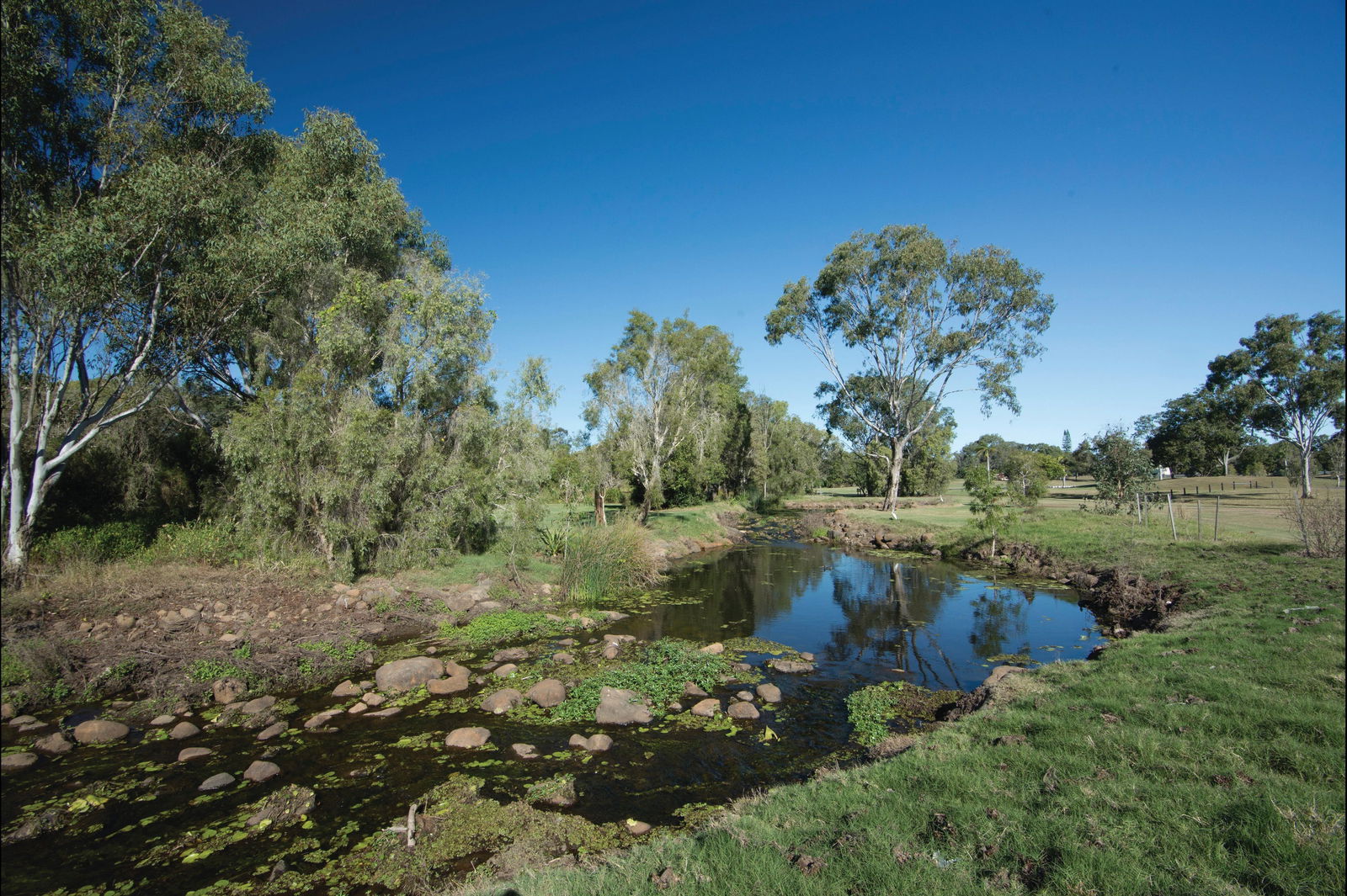 Millbank QLD New Castle Tourism