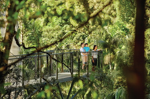 Tamborine Mountain - New Castle Tourism 0