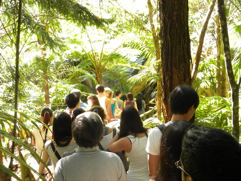 Tamborine Mountain Glow Worm Tours - New Castle Tourism 1