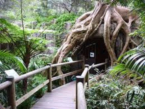 Tamborine Mountain Glow Worm Tours - New Castle Tourism 2