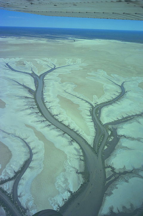 Tidal Flats - New Castle Tourism 0