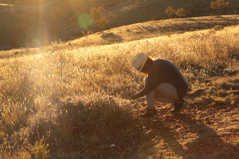 Tnorala (Gosse Bluff) Conservation Reserve - Newcastle Accommodation 1