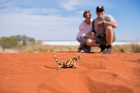 Tnorala (Gosse Bluff) Conservation Reserve - Newcastle Accommodation 2