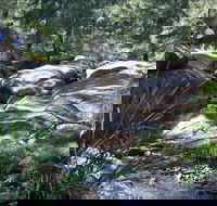 Washpools waterhole - New Castle Tourism