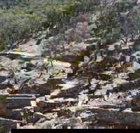 Adelong Falls Gold Mill Ruins - Newcastle Accommodation