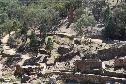 Adelong Falls Gold Mill Ruins - Newcastle Accommodation 0