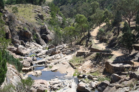 Adelong Falls Gold Mill Ruins - Newcastle Accommodation 1