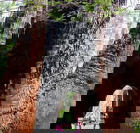 Ancient Empire Walk Valley of the Giants - New Castle Tourism