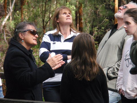 Ancient Empire Walk, Valley Of The Giants - New Castle Tourism 1