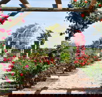 Australian Inland Botanic Gardens - Newcastle Accommodation