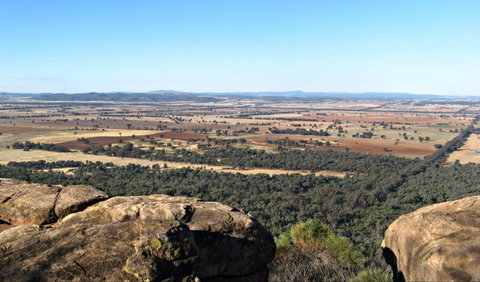 Basin Gully To Eualdrie Lookout Track - New Castle Tourism 0