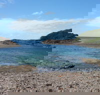 Bass Point Reserve - Newcastle Accommodation