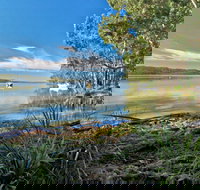 Black Oaks Picnic Area