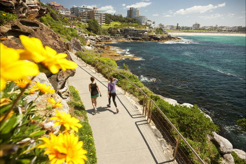 Bondi To Coogee Coastal Walk - New Castle Tourism 2