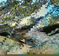 Burrawang Reach Picnic Area