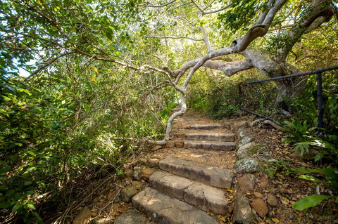 Capricorn Coast National Park - New Castle Tourism 2