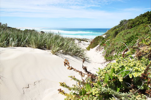 Coffin Bay National Park - Newcastle Accommodation 1