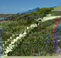 Conjola Beach Picnic Area - New Castle Tourism