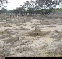 Culgoa Connellys Track - Newcastle Accommodation