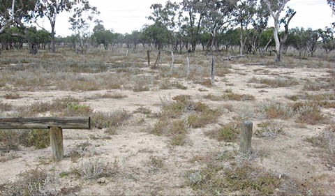 Culgoa Connellys Track - New Castle Tourism 0