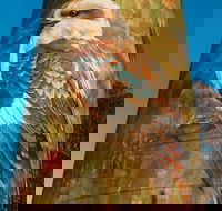 Deniliquin Water Tower Mural - New Castle Tourism