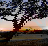 Eden Valley Lookout - Newcastle Accommodation