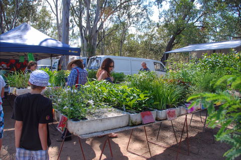 Fernvale Country Markets - New Castle Tourism 0