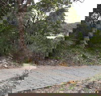 Great North Walk  Ku-ring-gai Chase National Park - Newcastle Accommodation