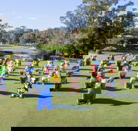 Hello Koalas Sculpture Trail - New Castle Tourism
