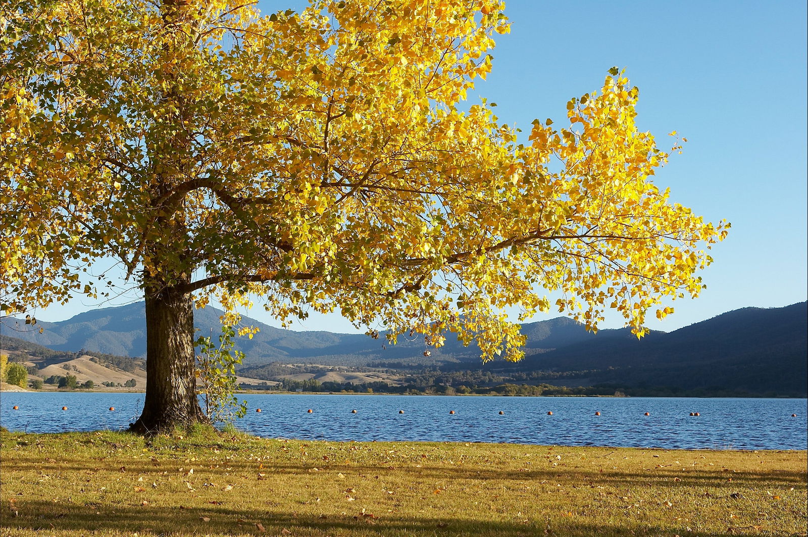 Snowy Mountains NSW Newcastle Accommodation