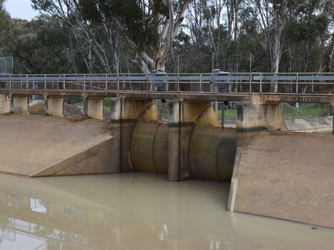 Lawson Syphon - New Castle Tourism 0