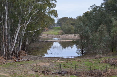 Lawson Syphon - New Castle Tourism 1