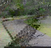 Leschenault Peninsula Conservation Park - New Castle Tourism
